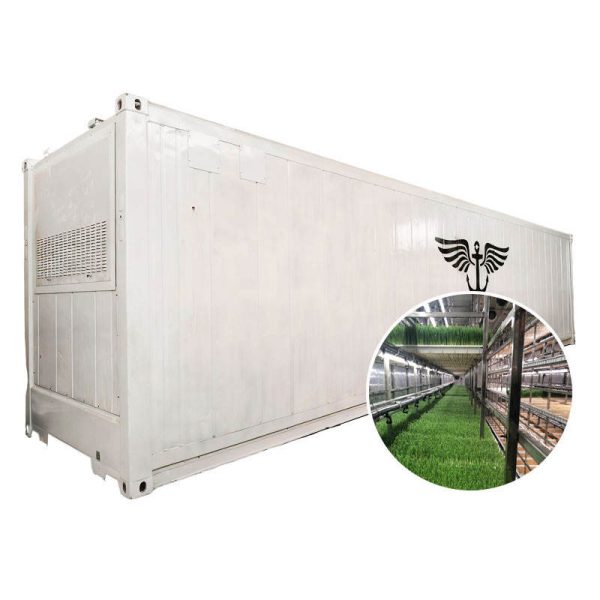 Fourrage d'usine de conteneurs