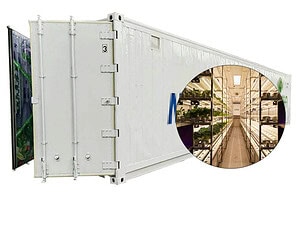 Container Factory Leafy Vegetables