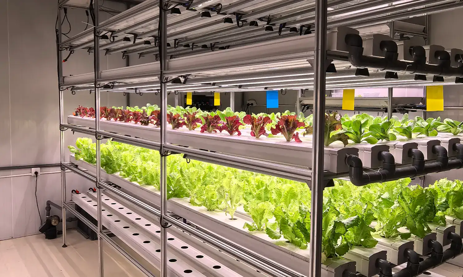 Container Plant Factory