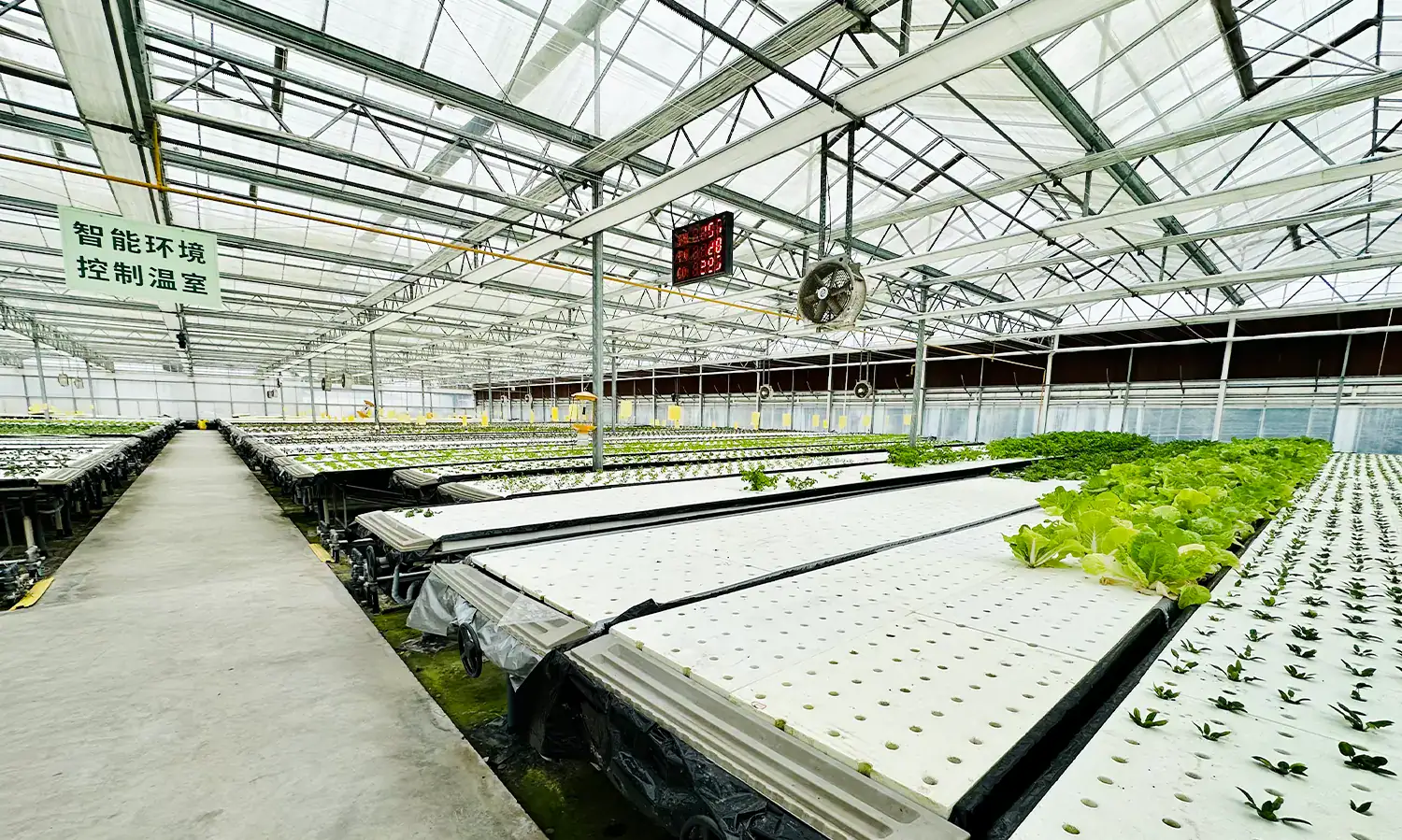 Greenhouse Structure