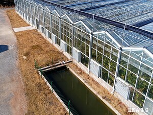 دفيئة زجاجية متعددة الامتدادات (1)