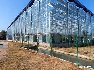 دفيئة زجاجية متعددة الامتدادات (2)