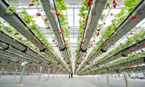 Maximize Urban Space background-1