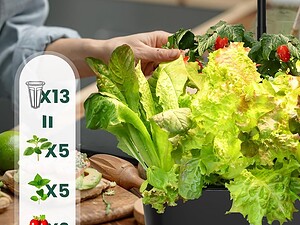 STARFARM Hydroponics Growing System ( (4)