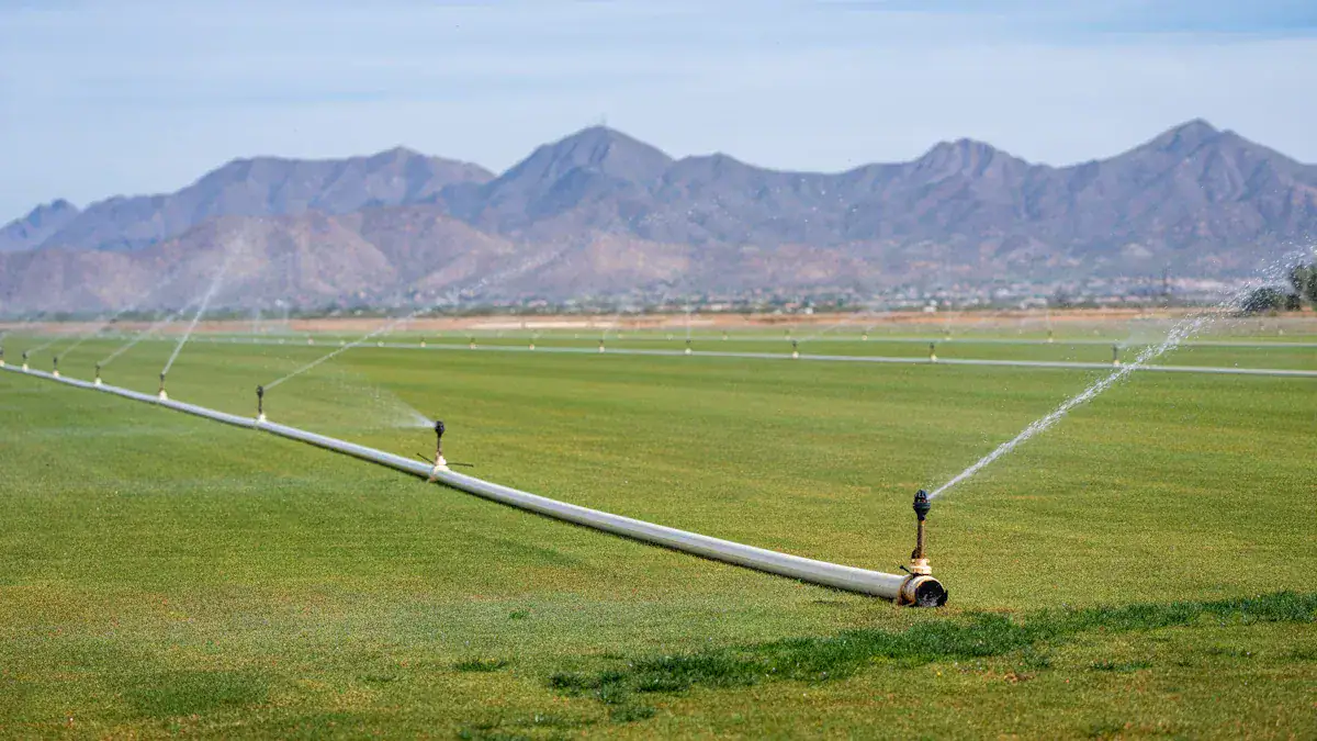 hydroponic industry news background 2