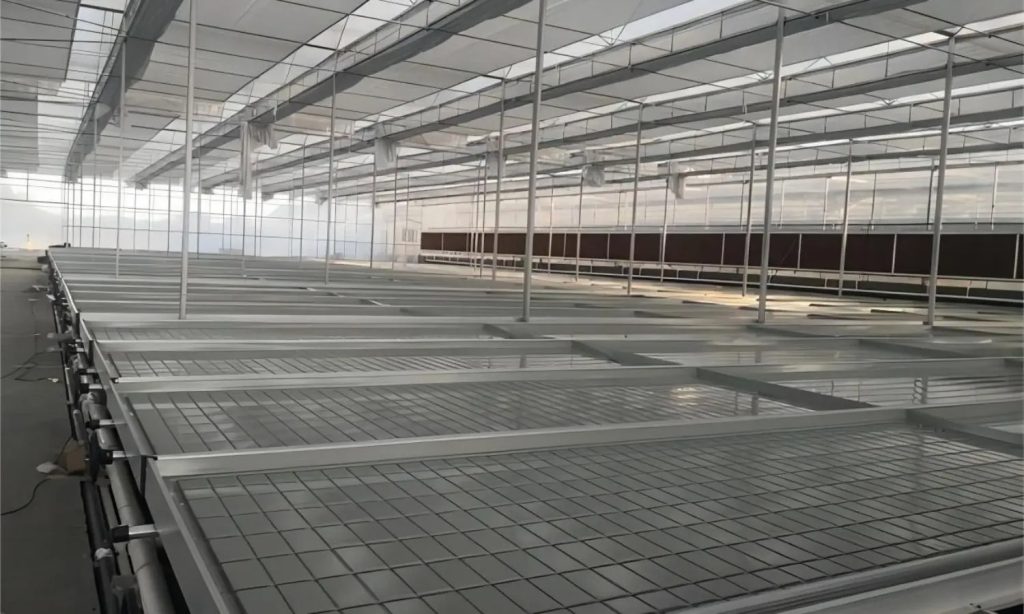 imgi 15 ebb and flow 1 1