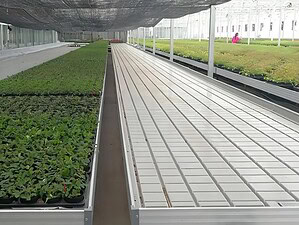 imgi_16_ebb-and-flow-2