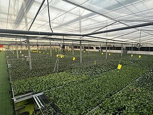 imgi_18_ebb-and-flow-4