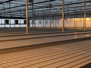 imgi_19_ebb-and-flow-5