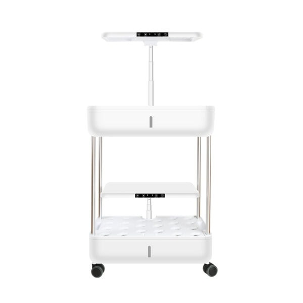 Machine à planter domestique de type D (5)