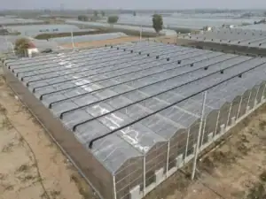 Polycarbonate Sheet Greenhouse1