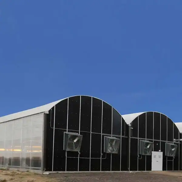Polycarbonate Sheet Greenhouse2
