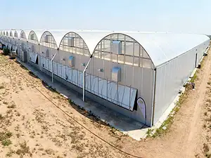Polycarbonate Sheet Greenhouse3