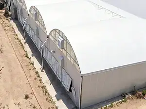 Polycarbonate Sheet Greenhouse4