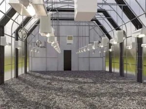 Serre à chanvre Blackout12