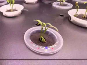 آلة زراعة منزلية من النوع S