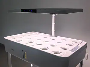 Machine à planter domestique de type D