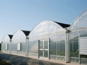 Serre à plusieurs travées en film plastique4