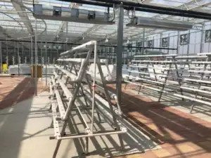 Large-Scale Glass Greenhouse-3