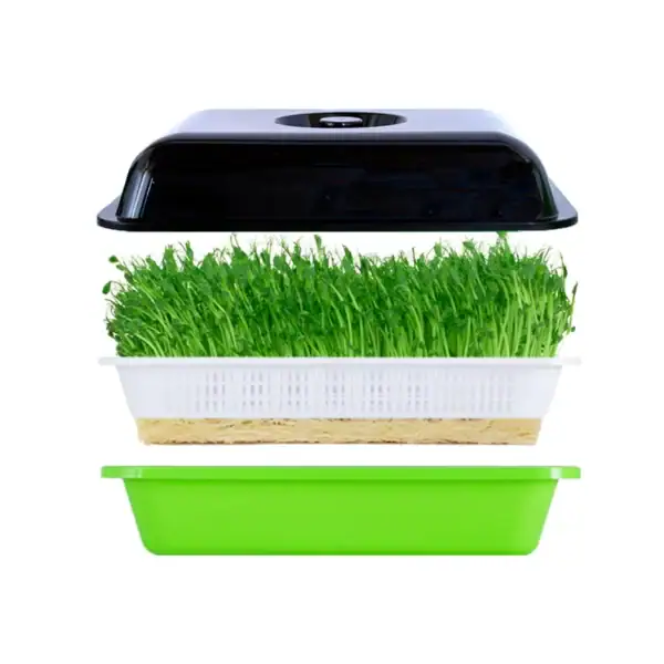 Household Hydroponic Sprout Growing Trays-5