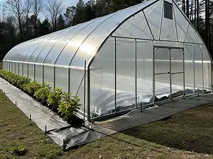 Single-Bay Film Greenhouse