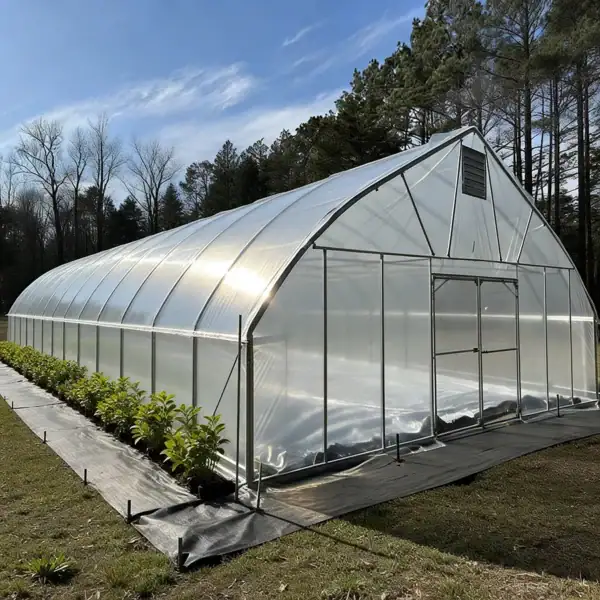 Single-Bay Film Greenhouse