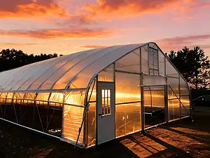 Single-Span Greenhouse-4