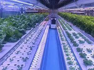 Starfarm IoT-Enabled Containerized Vertical Farming System-6