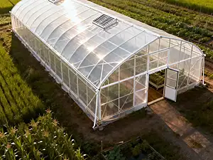 Single-Span Greenhouse-6
