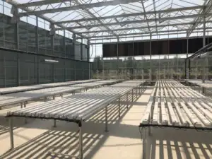 Large-Scale Glass Greenhouse-4