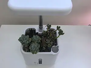 Smart Hydroponic Indoor Garden Planters for Home Use-3
