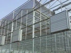 Large-Scale Glass Greenhouse-6