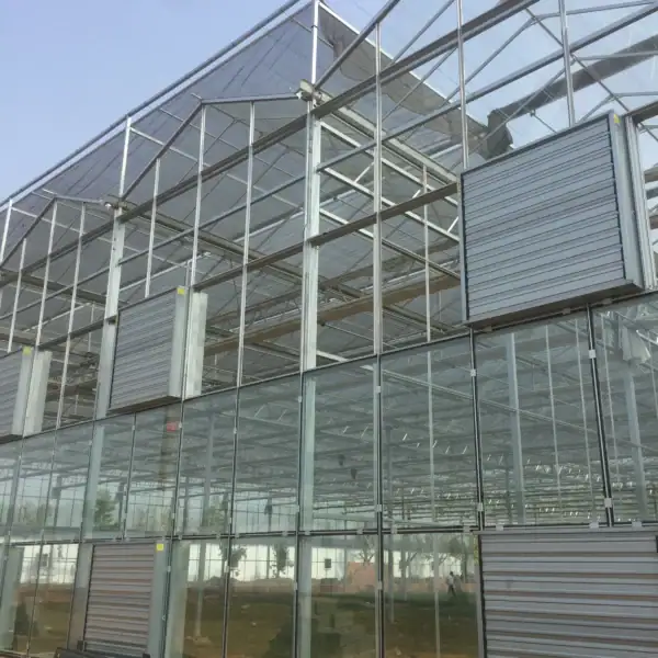 Large-Scale Glass Greenhouse-6