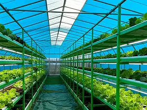 Single-Span Greenhouse-1