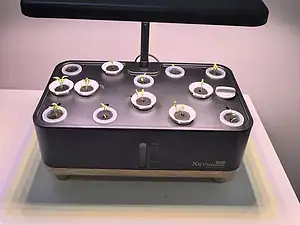 Indoor Hydroponic Growing Kit with LED Light-3