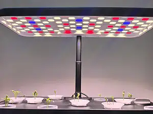 2026 New Design Indoor Vegetable Seedling & Cultivation Equipment-1