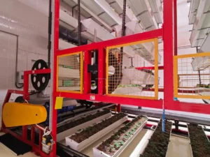 Smart Hydroponic Plant Factory-5