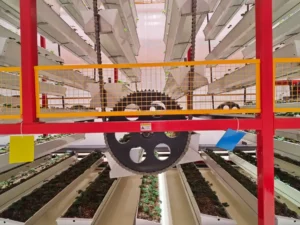 Smart Hydroponic Plant Factory-6