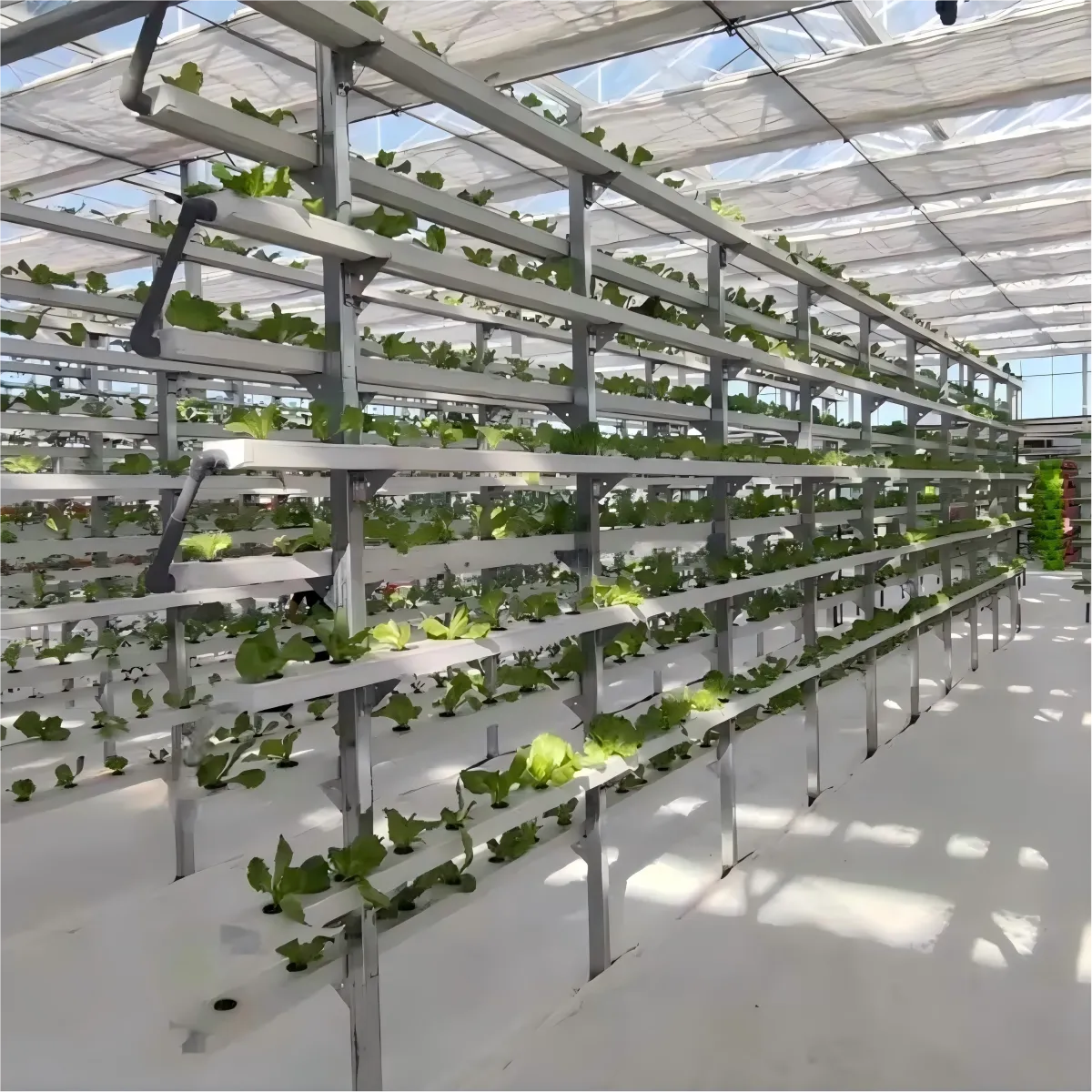 Commercial Vertical Aluminum Alloy & PVC-U Hydroponic System