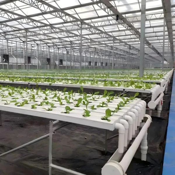 Horizontal Hydroponic System1