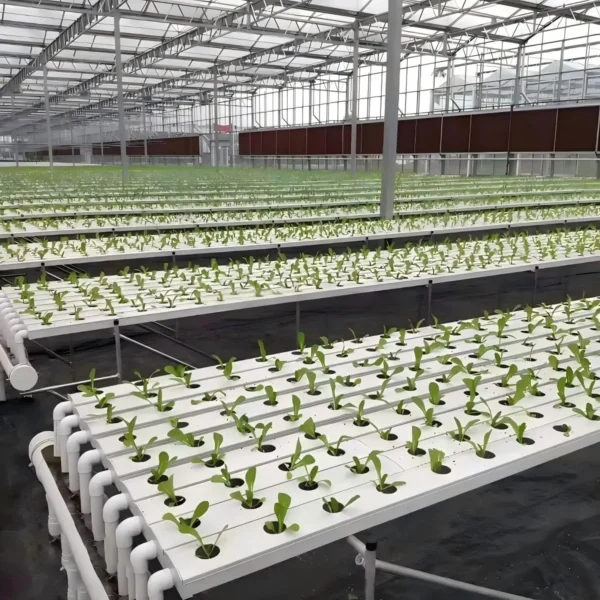 Horizontal Hydroponic System2